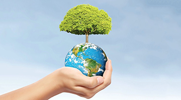 必赢亚洲·bwin(中国区)官方网站